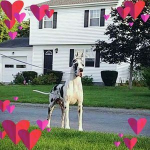 Meet your Posher, Janel